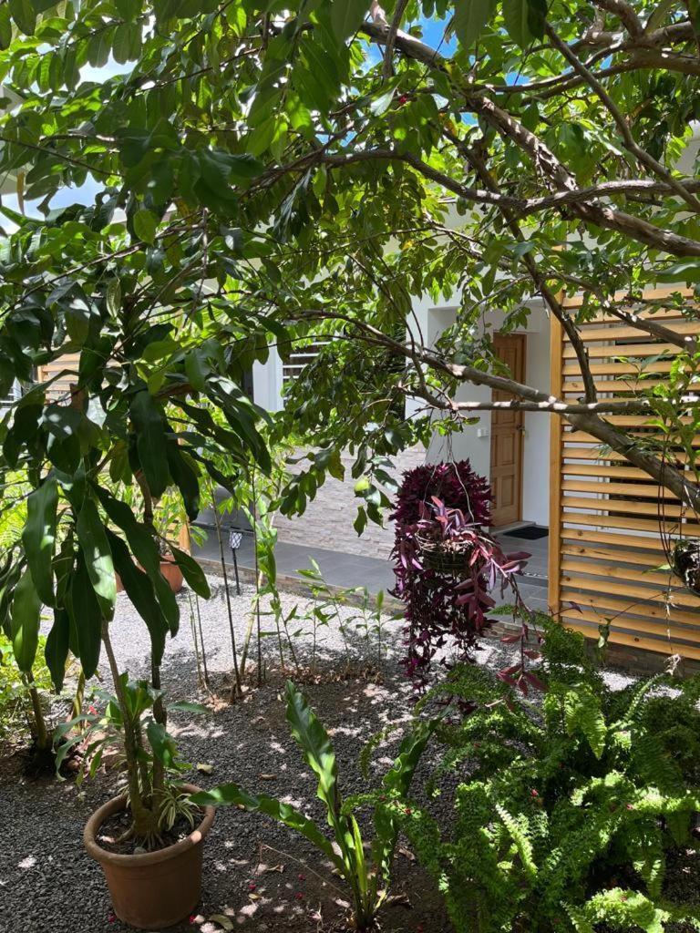 Pare Lodge Tahiti Pirae 외부 사진